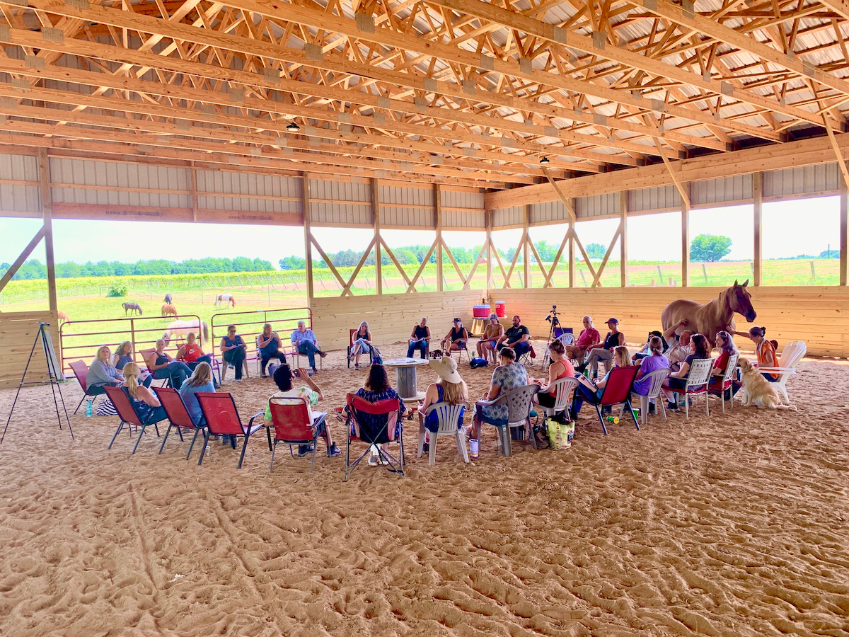 Working Alongside Horses: A Winter Workshop