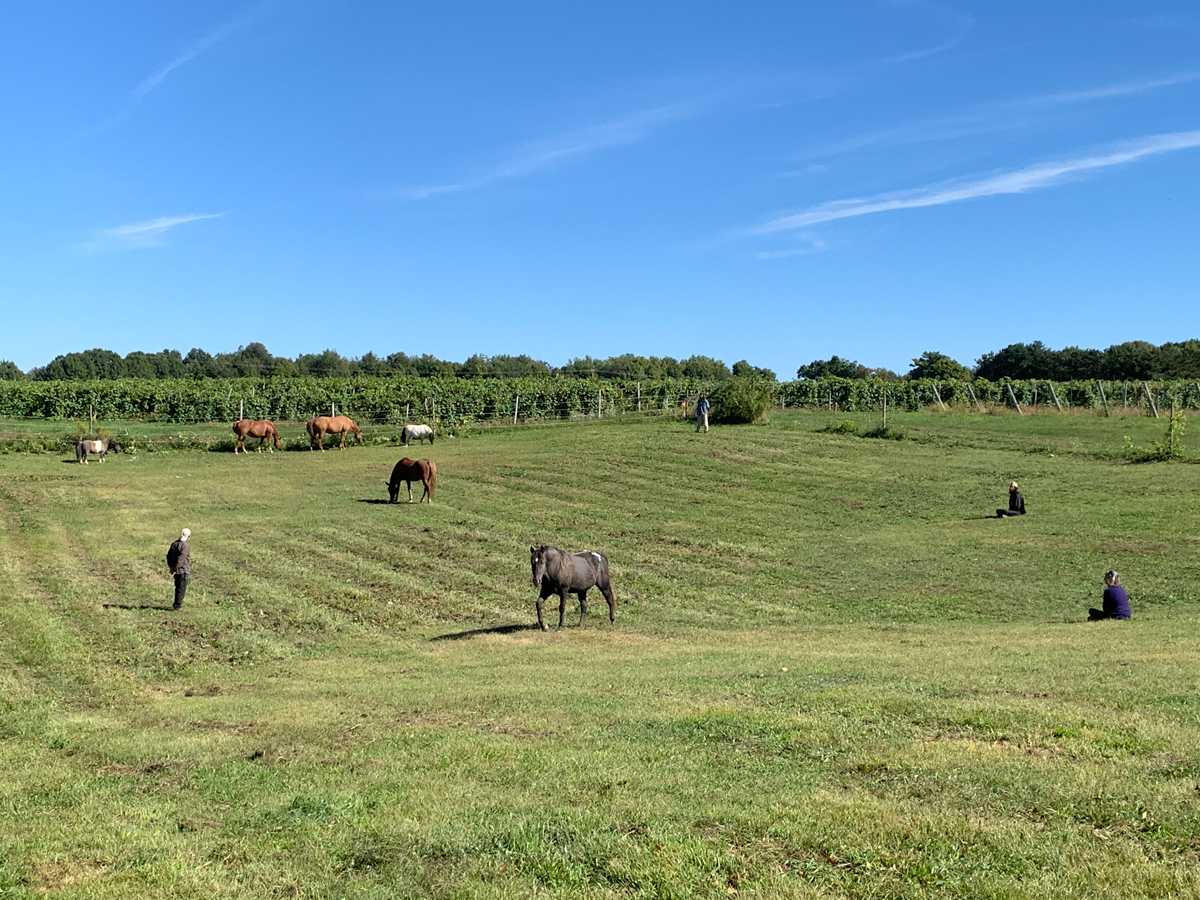 Open Barn Morning