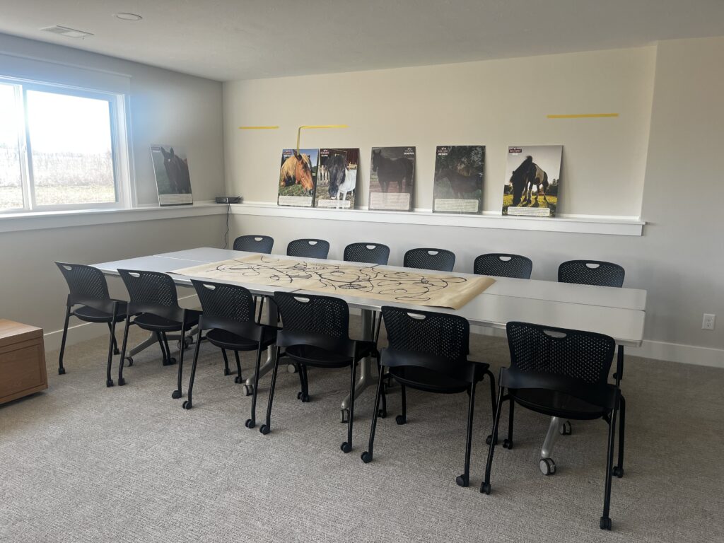 The meeting room at the farm: a long table ringed with chairs, a hand-drawn chart laid across it, and boards about each of the horses along the wall.
